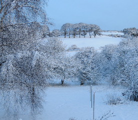 Thank you Django Zazou for your gorgeous pic of snow covered hills in northern England.